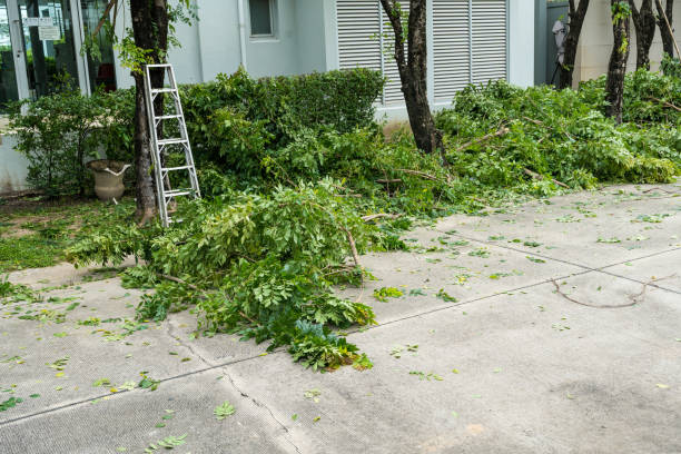 Best Stump Grinding Near Me  in Livonia, MI